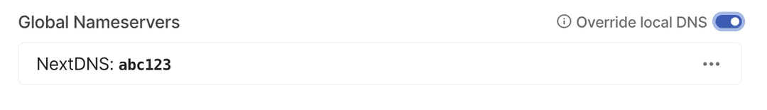 A screenshot of global nameservers, showing the NextDNS profile `abc123`.