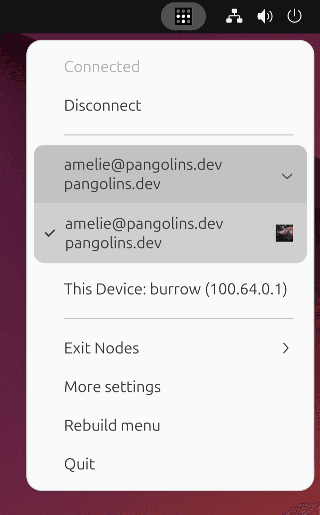 Tailscale system tray application running in GNOME.