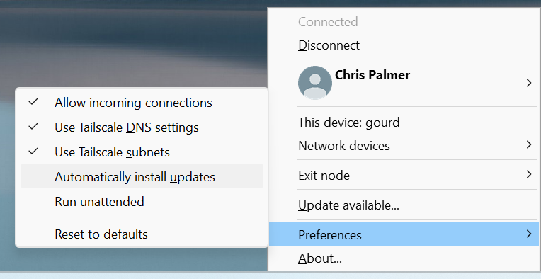 Tailscale Preferences, now featuring an option to "Automatically install updates"